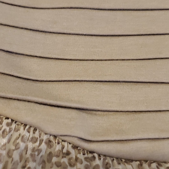 🐆 - Picture 4 of 6